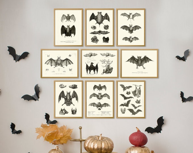 Add enchanting allure to your space with this Set of 9 Botanical Bat Prints. Charming Halloween wall art that merges whimsy with nature