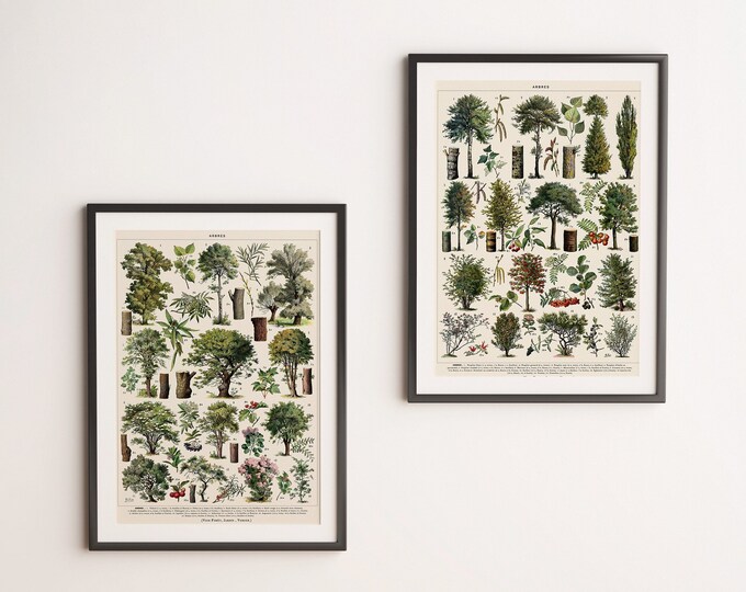2 Piece Botanical Wall Art Set of Prints Tree Botanical Room Decor