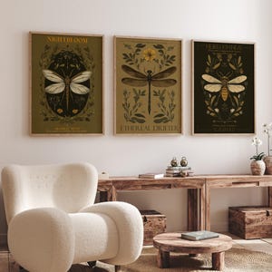 Motte und Libelle Botanische Wandkunst - Dunkle Entomologie Insekt Natur Wanddekoration - Gothic Cottagecore Bug 3er-Set Poster