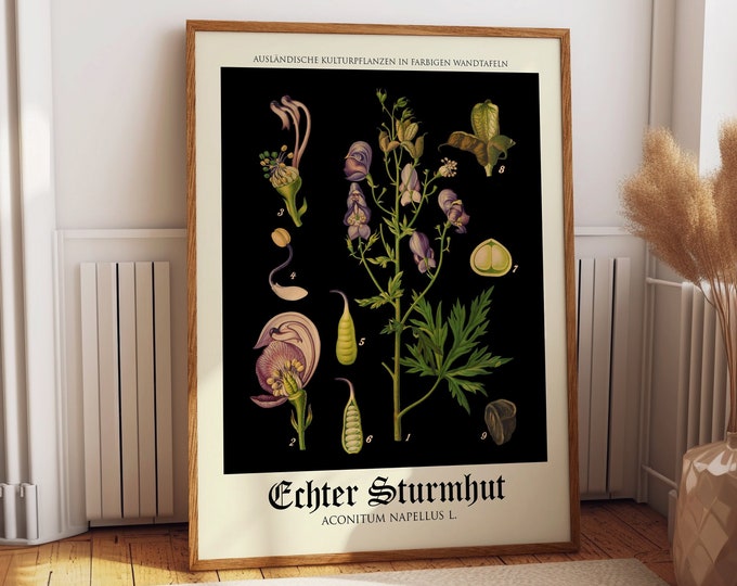 Rare Botanical Poster Vintage German Botanical Print Vintage Educational Poster Educational Chart Rare Chart Decor Unique Poster WB-BLBOT9