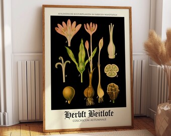 Rare Botanical Print German Educational Botanical Poster Black Background Black Botanical Art Large Botanical Poster Biology Chart WB-BLBOT7