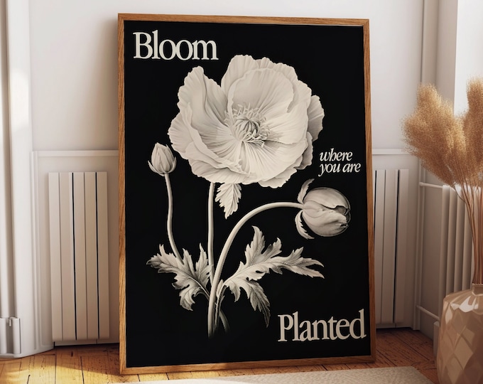 Black & White Anemone Motivational Art Print - Minimalist 'Bloom Where You Are Planted' Quote Poster for Home and Office Decor