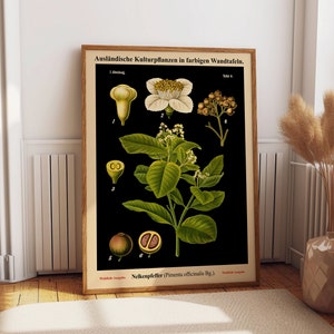 Zwarte botanische print vintage Duitse botanische kaart peper muur kunst vintage educatieve kaart botanisch op zwarte kunst achtergrond WB-BLBOT-3
