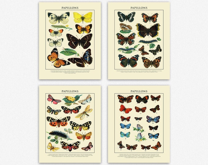 Butterfly Wall Art Butterfly Art for Kitchen Bathroom Posters Antique Poster Wall Art Set of 4 Prints