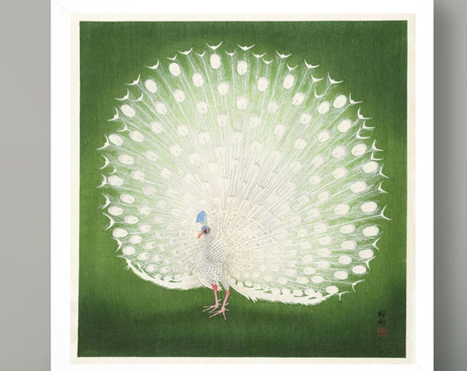 Stunning Peacock Art Print by Ohara Koson - Japanese Woodblock Poster for Modern and Traditional Decor Peacock by Ohara Koson Peacock Art