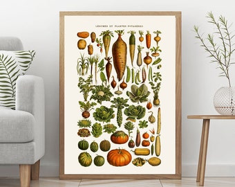 Vegetable Botanical Illustration Plate Botanical Wall Art for Kitchen Cooking Wall Art Cooking Decor Vegetable Decor Gift for Cook WBOT77