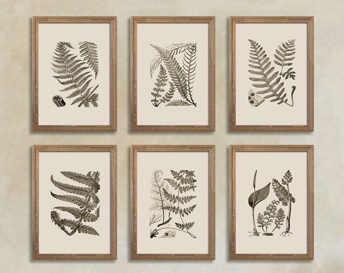 Set of 6 Beige Ferns: Elegant and Minimalist Botanical Wall Art Decor for Home or Office Fern Wall Art Fern Prints