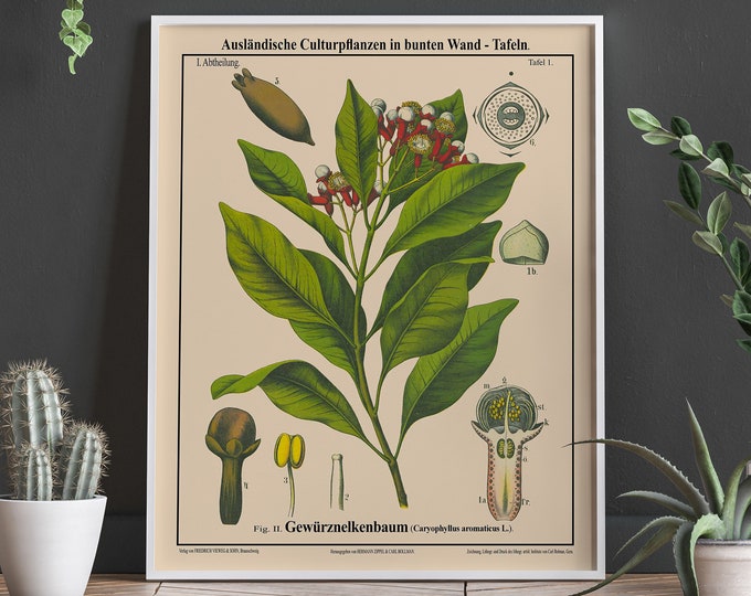 Cloves Botanical Art Print Cloves Spices Indonesian Cuisine Poster