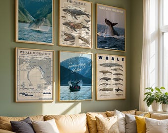 Whale Set of 6 Wall Art Posters | Classic Marine Life Prints | Coastal Nature Decor