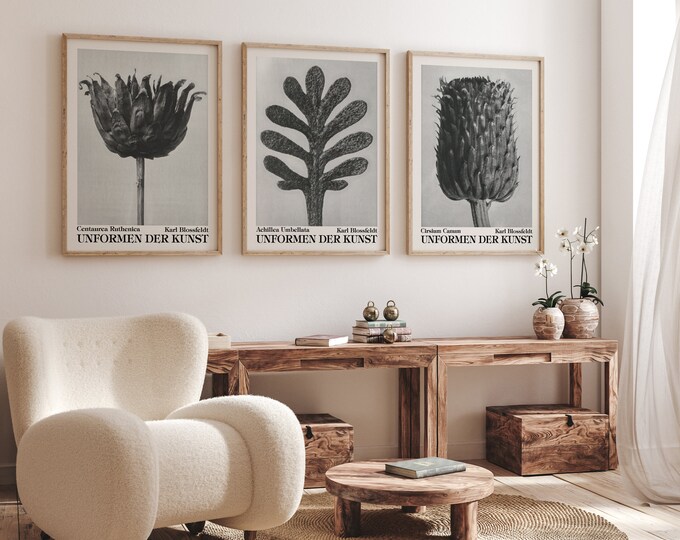 Photo Botanical Prints Set of 3 Cute Goth Wall Art Prints