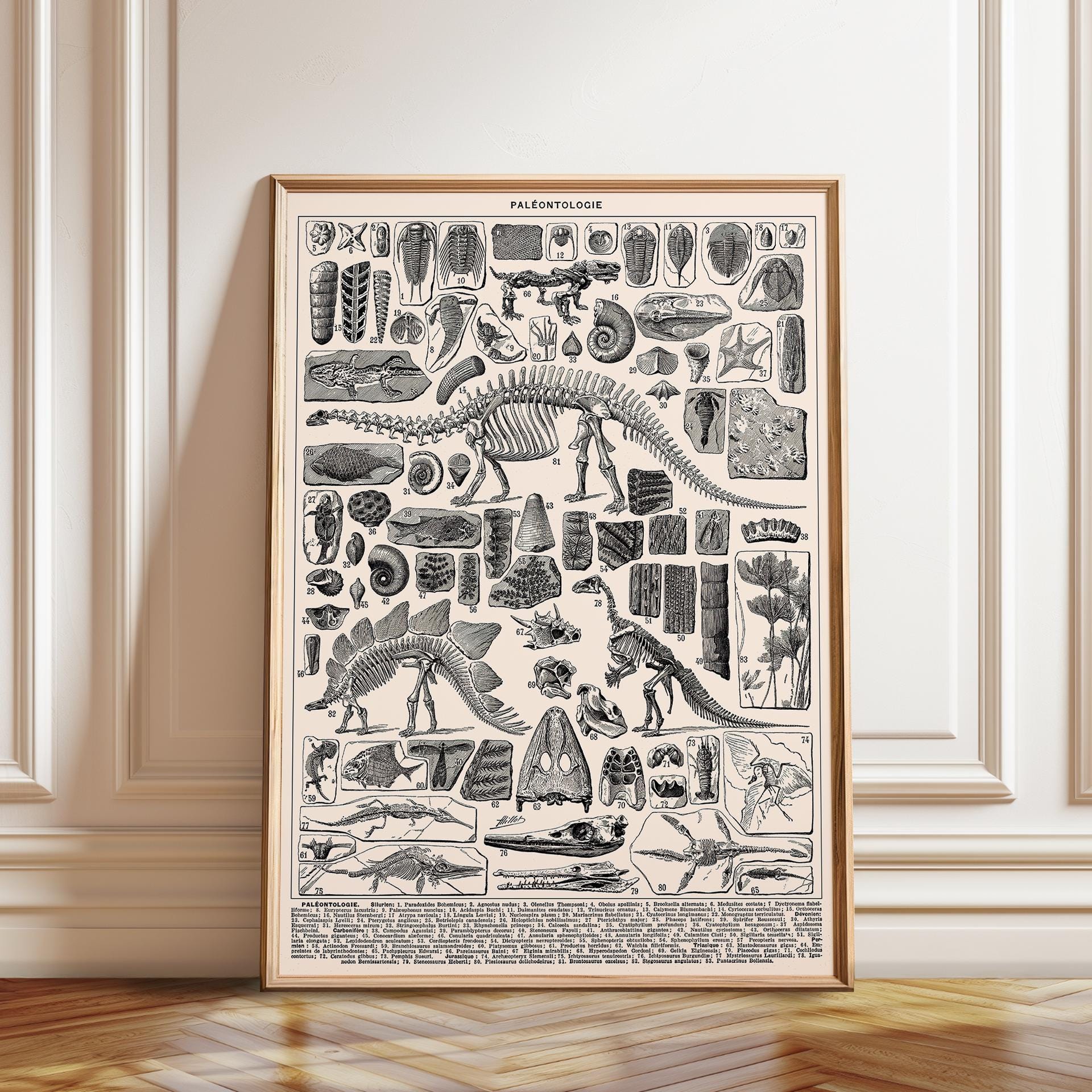 Dinosaur Paleontology Wall Art Print: Prehistoric Decor