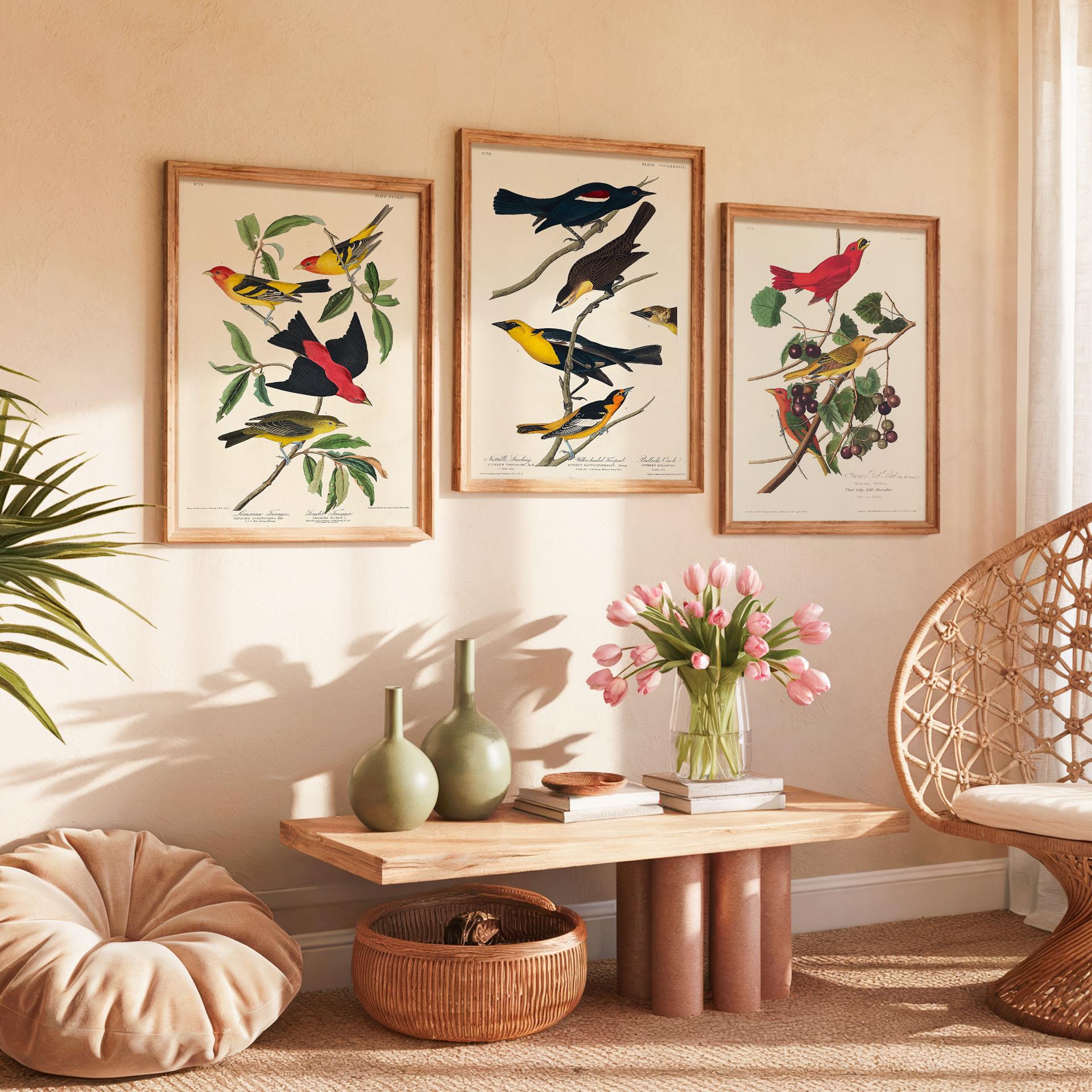 Audubon Bird Prints Set of 3: Vintage Botanical Illustration Art