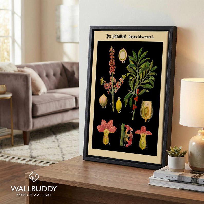 German Botanical Chart Black Henbane Print - Vintage Plant Illustration Educational Science Wall Art Poster Black Framed Canvas