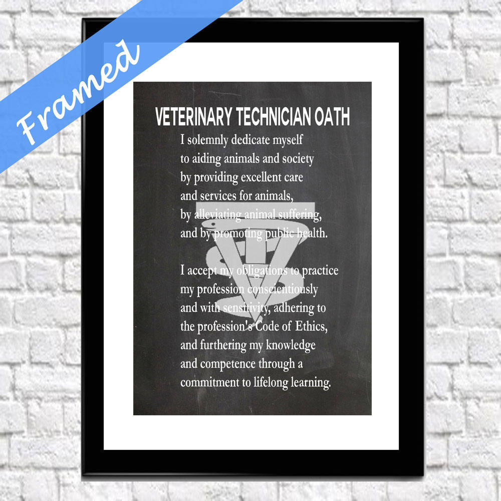 Veterinarian Technician Oath Framed Vet Tech Gift for Vet Veterinarian Wall Art