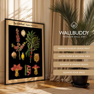 May include: A framed botanical wall art print titled Der Seidelbast, Daphne Mezereum L. featuring detailed illustrations of the plant's flowers, leaves, and berries in shades of red, green, and yellow against a solid black background.