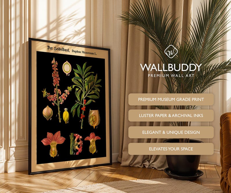 May include: A framed botanical wall art print titled Der Seidelbast, Daphne Mezereum L. featuring detailed illustrations of the plant's flowers, leaves, and berries in shades of red, green, and yellow against a solid black background.