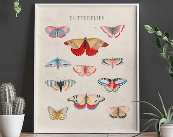 Modern Butterfly Poster Butterfly Prints Butterfly Wall Art Nature Posters Modern Nature Art