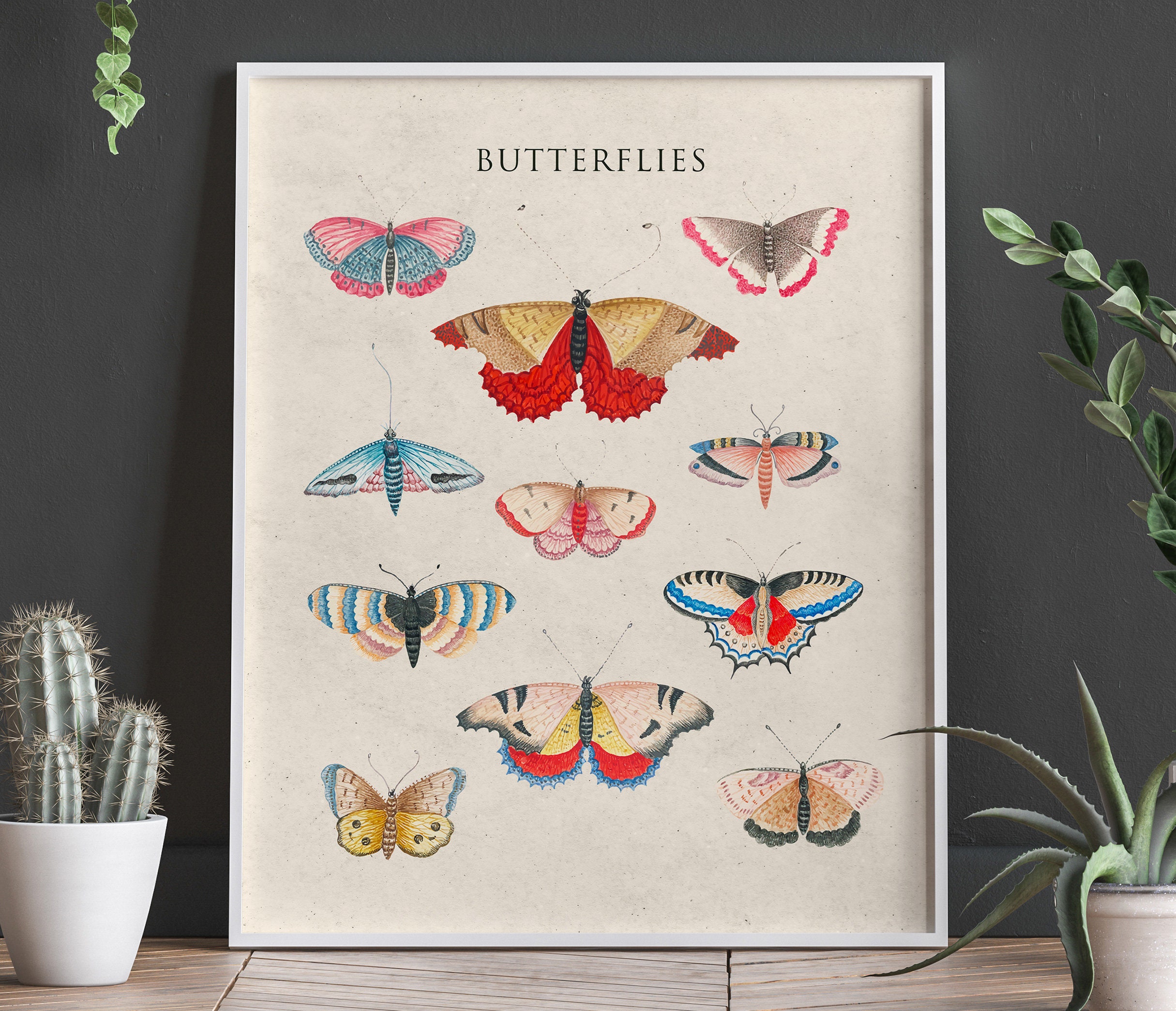 完売品】UrbanOutfitters バタフライ 蝶 ジュエリーホルダー 【公式