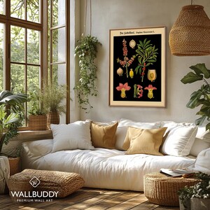 May include: A framed botanical wall art print featuring a black background with detailed illustrations of the Daphne Mezereum plant, including its flowers, leaves, and berries, with the text Der Seidelbast, Daphne Mezereum L. printed at the top.