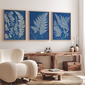 Fern Wall Decor 3 Piece Wall Prints by Anna Atkins Cyanotype Species of Ferns