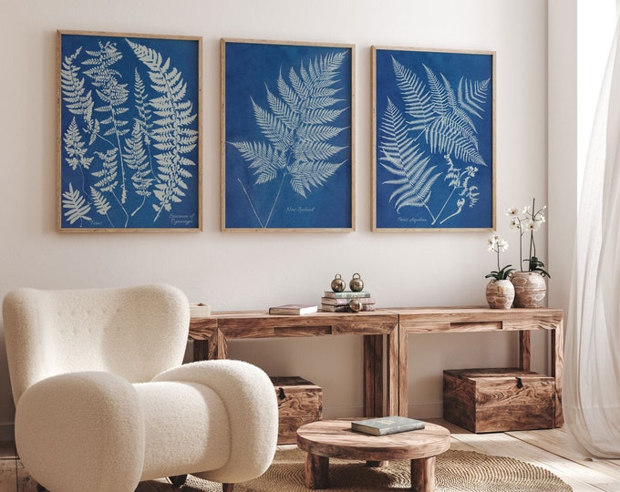 Fern Wall Decor 3 Piece Wall Prints by Anna Atkins Cyanotype Species of Ferns