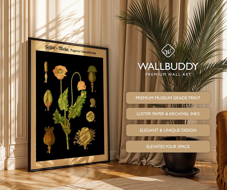 May include: A framed botanical wall art print featuring a black background with detailed illustrations of the Papaver Somniferum plant, including flowers, buds, and seed pods, labeled with the text Schlaf - Mohn, Papaver Somniferum.