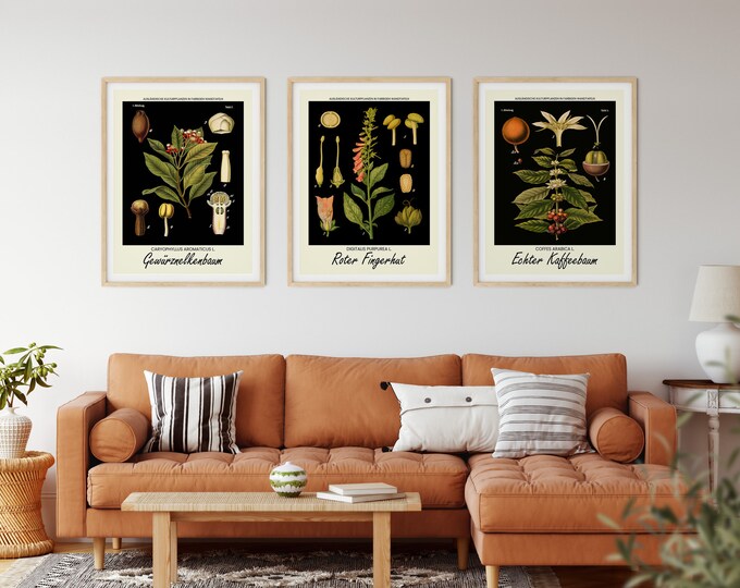 Vintage Botanical Wall Art Set of 3 Antique Wall Art German Botanical Posters Botanical Large Posters Modern Apartment Decor