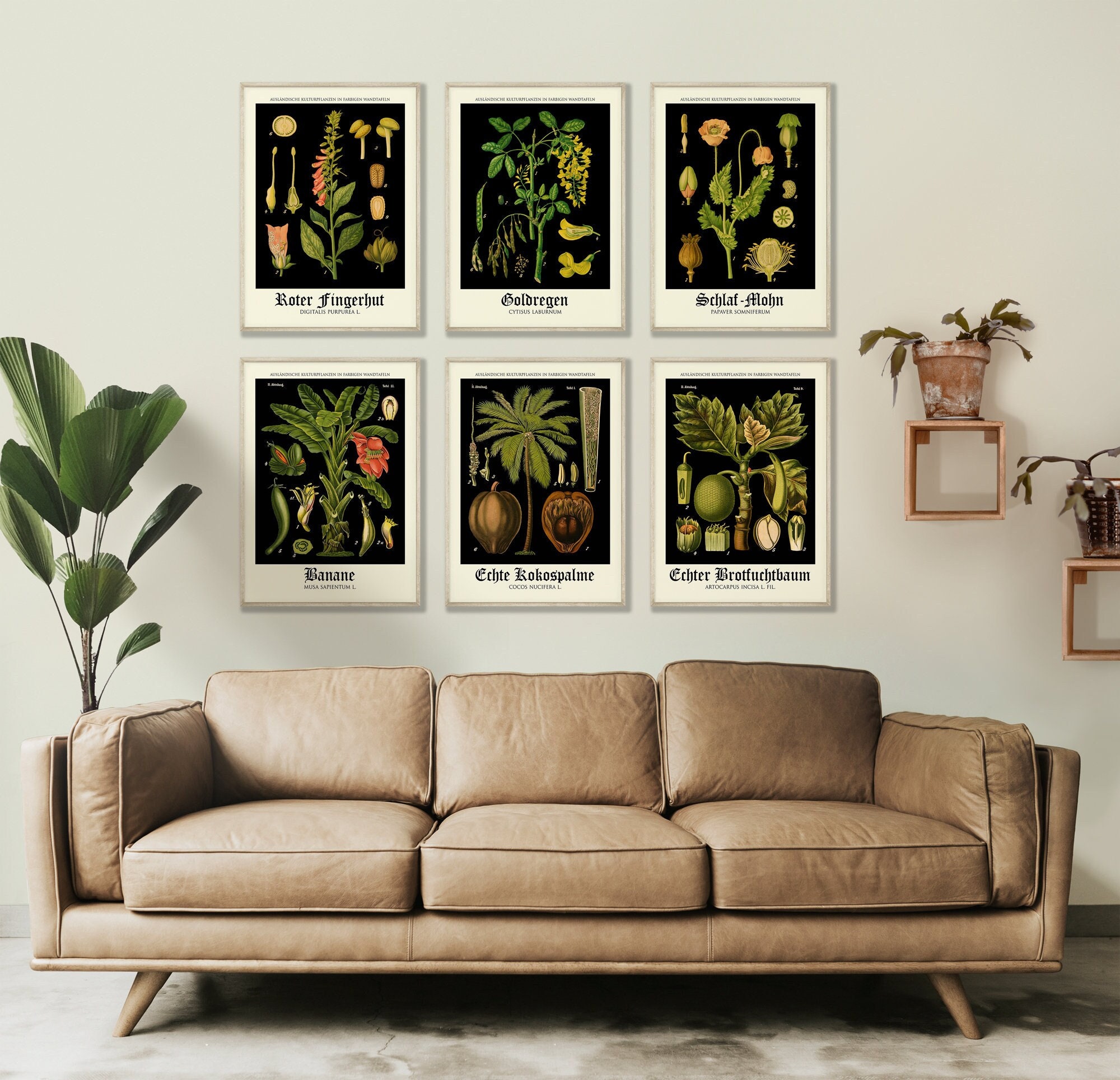 Antique Botanical Posters Set of 6 Botanical Prints Botany Wall Art Botanical Wall Art Botanical