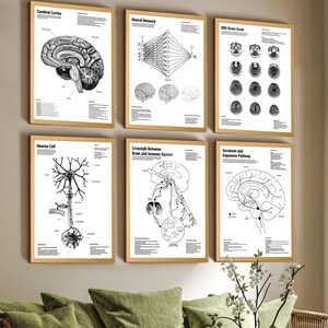 Human Brain Neural Tech Patent Art Prints: Scientific Blueprint Set of 6 White