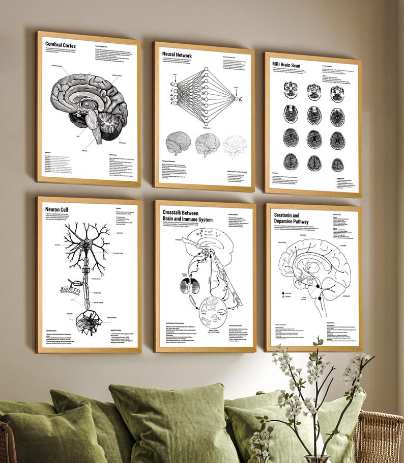 Human Brain Neural Tech Patent Art Prints: Scientific Blueprint Set of 6 White