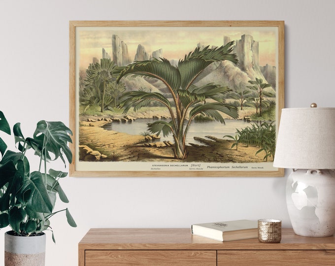 Nature Wall Art Landscape Palm Tree Nature Wall Decor Botanical Wall Art Tropical Tree Art