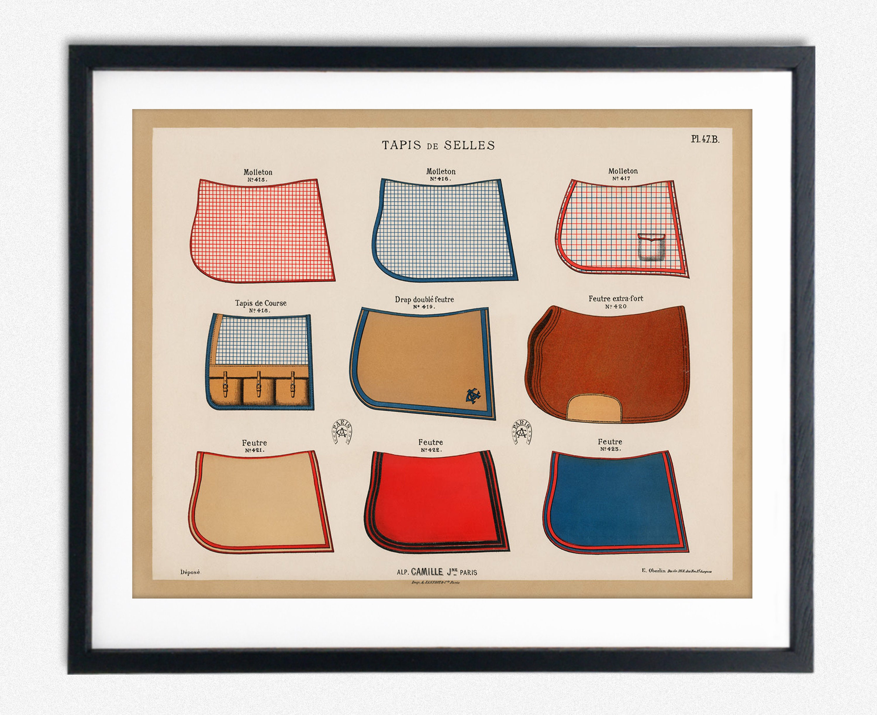 Horse Saddle Vintage Horse Equipment Print Circa 1900