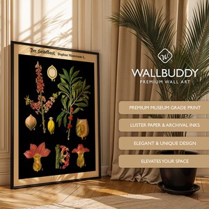 May include: A framed botanical wall art print featuring the text Der Seidelbast, Daphne Mezereum L. The print displays detailed illustrations of the Daphne plant, including its pink flowers, green leaves, and berries against a black background.