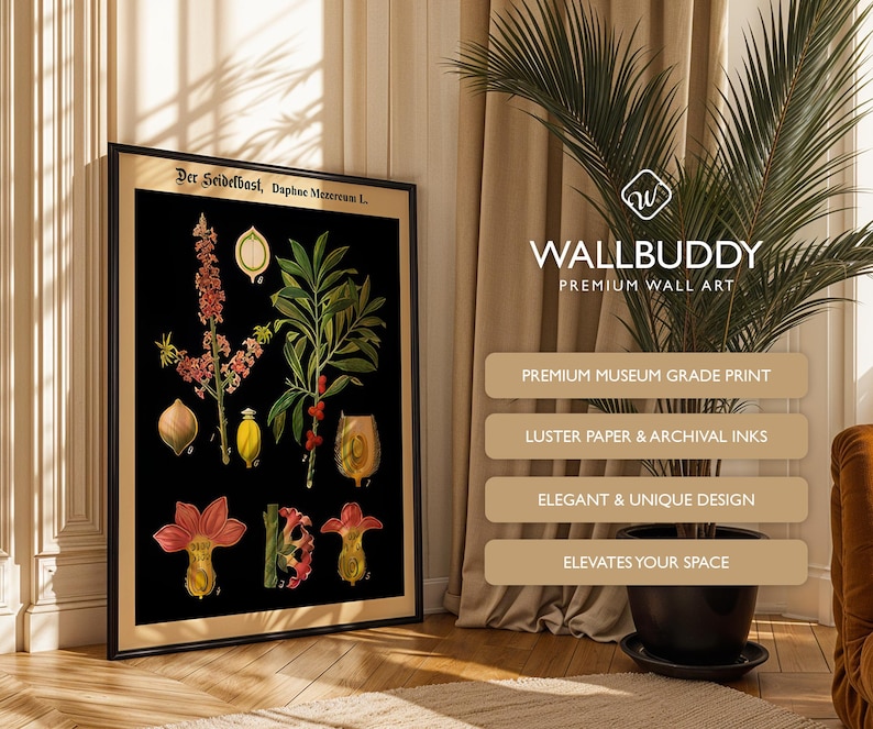 May include: A framed botanical wall art print featuring the text Der Seidelbast, Daphne Mezereum L. The print displays detailed illustrations of the Daphne plant, including its pink flowers, green leaves, and berries against a black background.