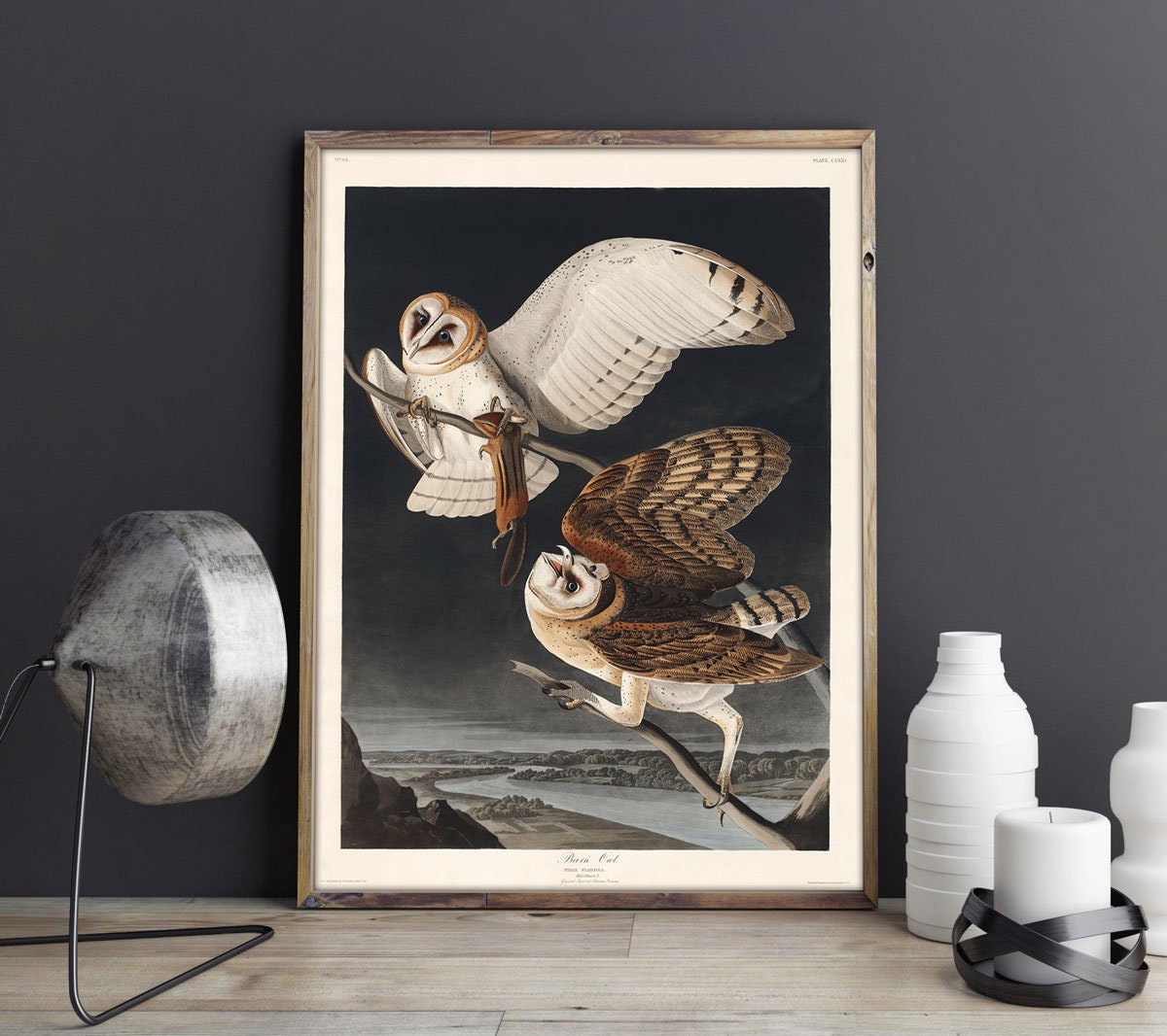 Audubon Prints Set of 2 Audubon Posters Audubon Wall Art Audubon