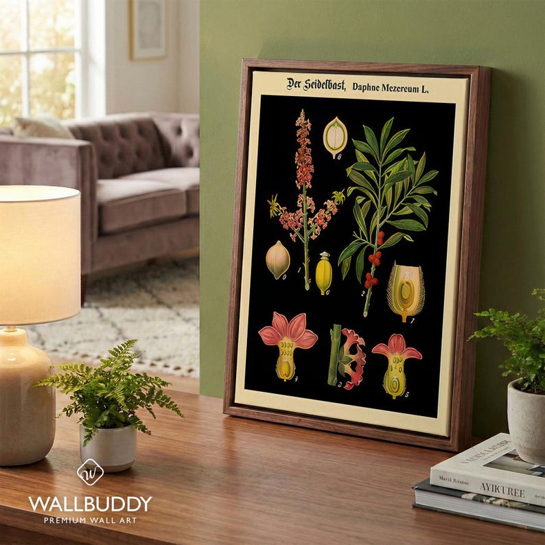 May include: A framed botanical print featuring the text Der Seidelbast, Daphne Mezereum L. The artwork displays various illustrations of the Daphne mezereum plant, including its flowers, leaves, and berries, set against a solid black background.