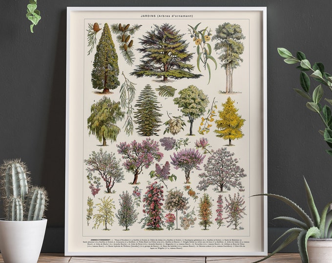 Tree Wall Art Eco Friendly Decor French Tree Botanical Art by Adolphe Millot