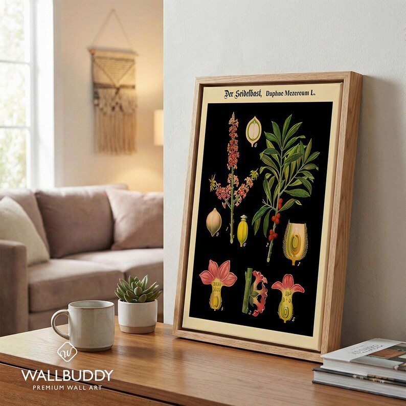 May include: A framed botanical print titled Der Seidelbast, Daphne Mezereum L. featuring detailed illustrations of the plant's flowers, leaves, and berries against a black background, displayed in a light-colored wooden frame.