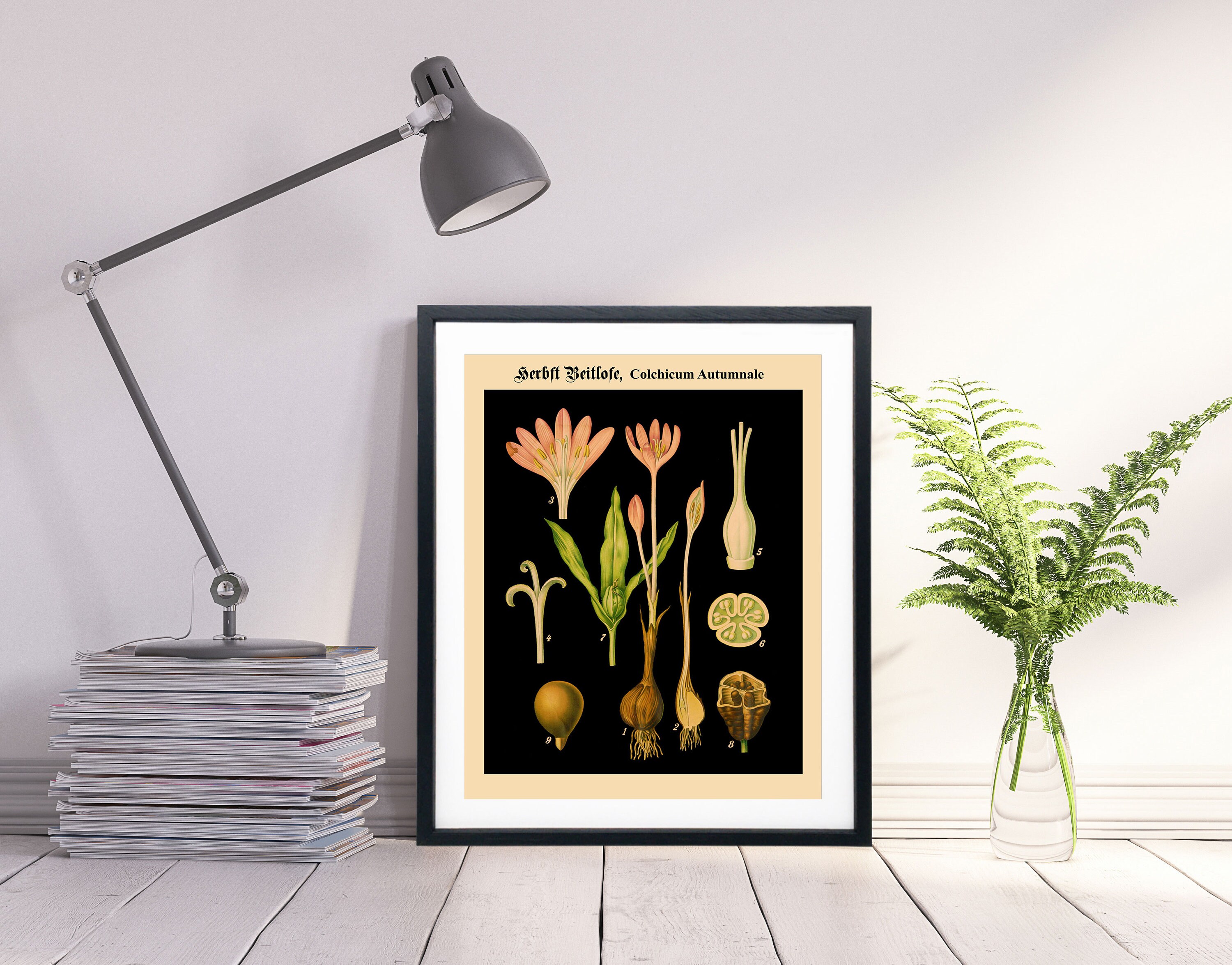 Background Botanical Print Educational WB-BLBOT7 Large Black German Botanical Chart Rare Biology Black Botanical Art Botanical Poster Poster