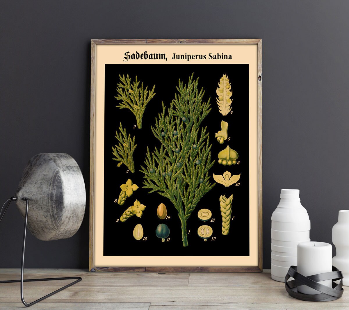 Botanische Poster Set Of 4 – 11x14 Zoll, Leinwanddruck Ungerahmt, Salbei Grün, Boho Deko Für Wand, Schlafzimmer, Wohnzimmer