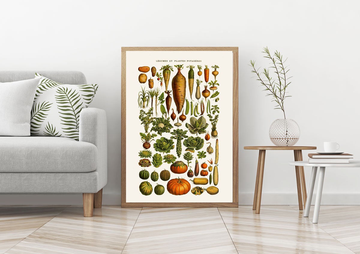 Vegetable Botanical Ilration Plate Wall Art For Vegetable Botanical Ilration Plate Wall Art For Kitchen Cooking Decor Gift Cook Wbot77