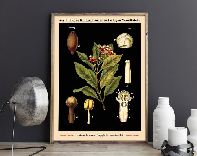 Large Botanical Print - German Botanical Art Black Botanical