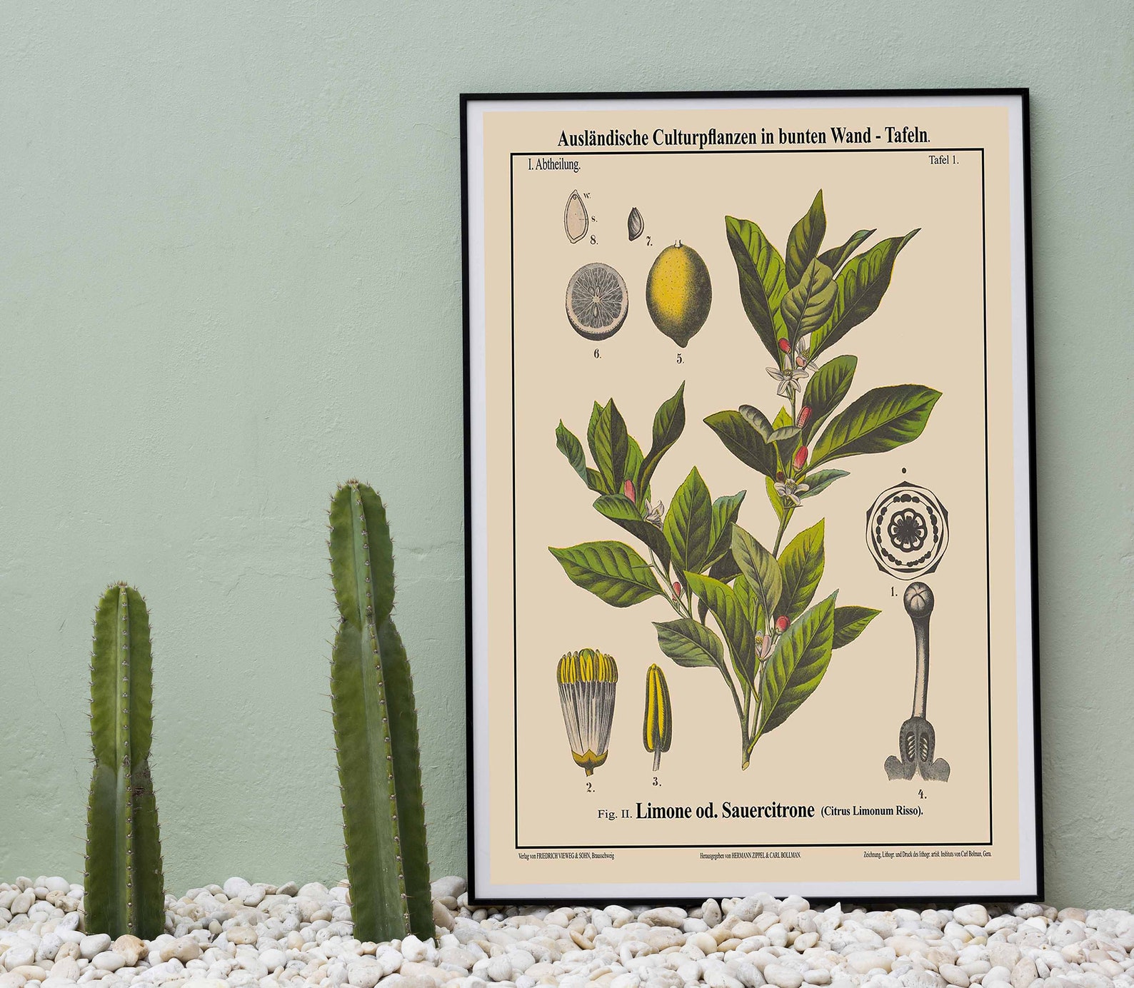 Lemon Botanical Print Lemon Decor Fruit Botanical Art | Etsy