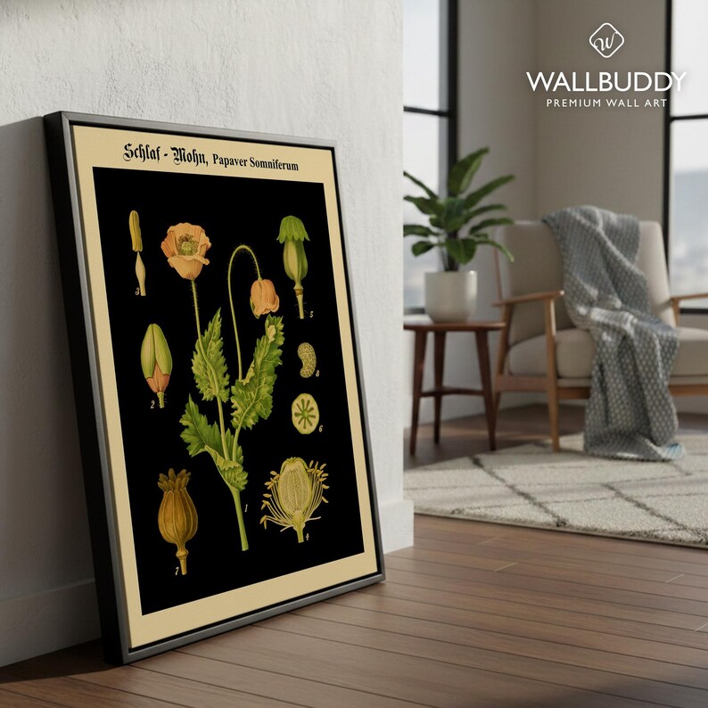 May include: A framed botanical wall art print featuring a black background with detailed illustrations of the opium poppy plant, labeled Schlaf-Mohn, Papaver Somniferum, displaying various stages of the flower, leaves, and seed pods in yellow and green.
