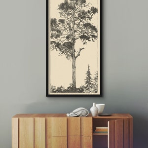 May include: A black and white illustration of a tall pine tree with a smaller pine tree in the background. The illustration is framed in a black frame and is hanging on a light gray wall above a wooden cabinet.