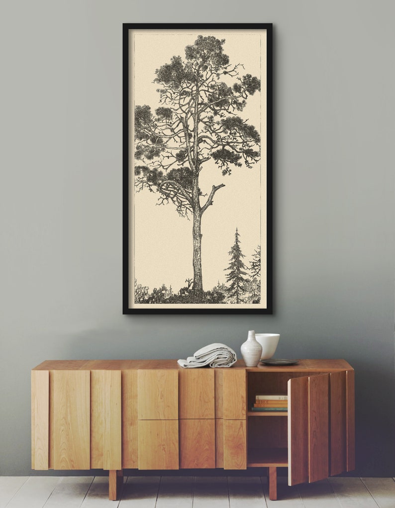 May include: A black and white illustration of a tall pine tree with a smaller pine tree in the background. The illustration is framed in a black frame and is hanging on a light gray wall above a wooden cabinet.