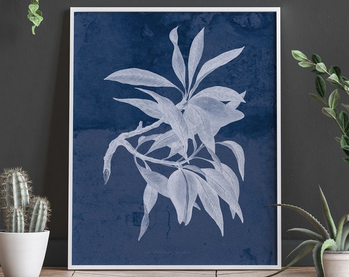 Anna Atkins Cyanotype Wall Art Navy and White Decor Blue and White Art Cyan Poster Cyan Print Cyan Decor Vintage Photography Botanical Blue