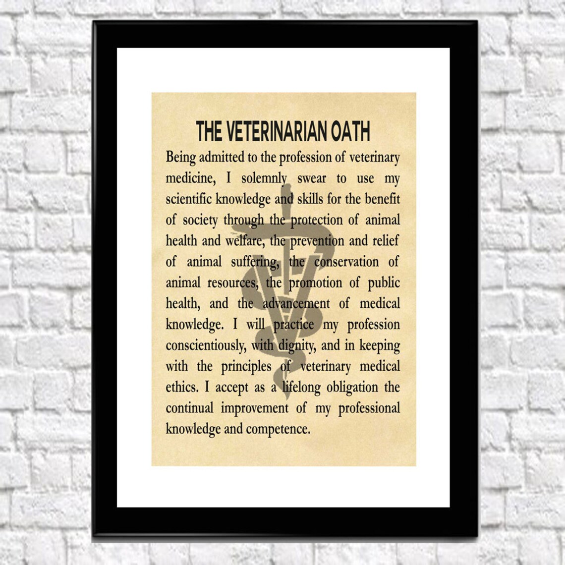 Veterinarian Gift For Veterinarian Oath Veterinarian Etsy