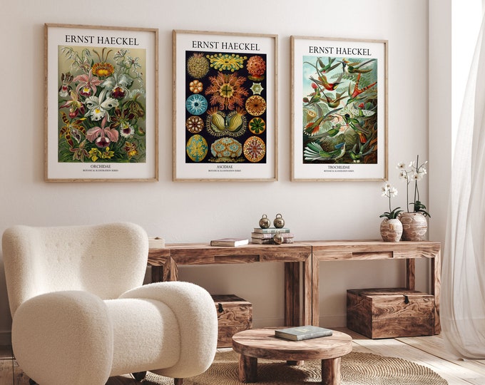 Botanical Posters Set of 3 Beautiful Botanical Prints Ernst Haeckel Illustrations