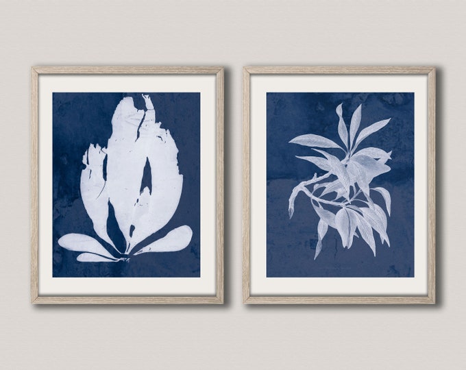 Cyanotype Prints Set of 2 Cyanotype Posters by Anna Atkins in 1843 Photogenic Drawings Botany Decor First Photographs Ever Published Photo